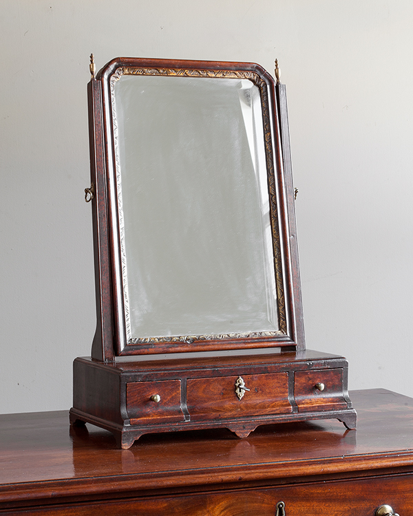 Antique Toilet Mirror